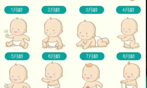 天津格林国际幼儿园学费-芪参软肝胶囊主治什么网 - 月经期喝冰的会怎样,乙肝患者可以吃茄子吗