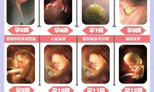 芪参软肝胶囊主治什么网 - 月经期喝冰的会怎样,乙肝患者可以吃茄子吗